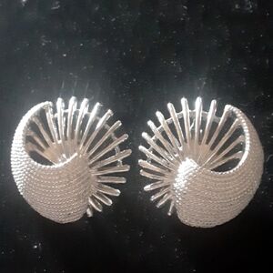 Elegant Silver Tone Earrings